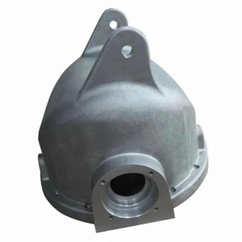 OEM 마그네슘 합금 자동차 부품은 고압 펌프 주거 투자 주물 주물 죽습니다